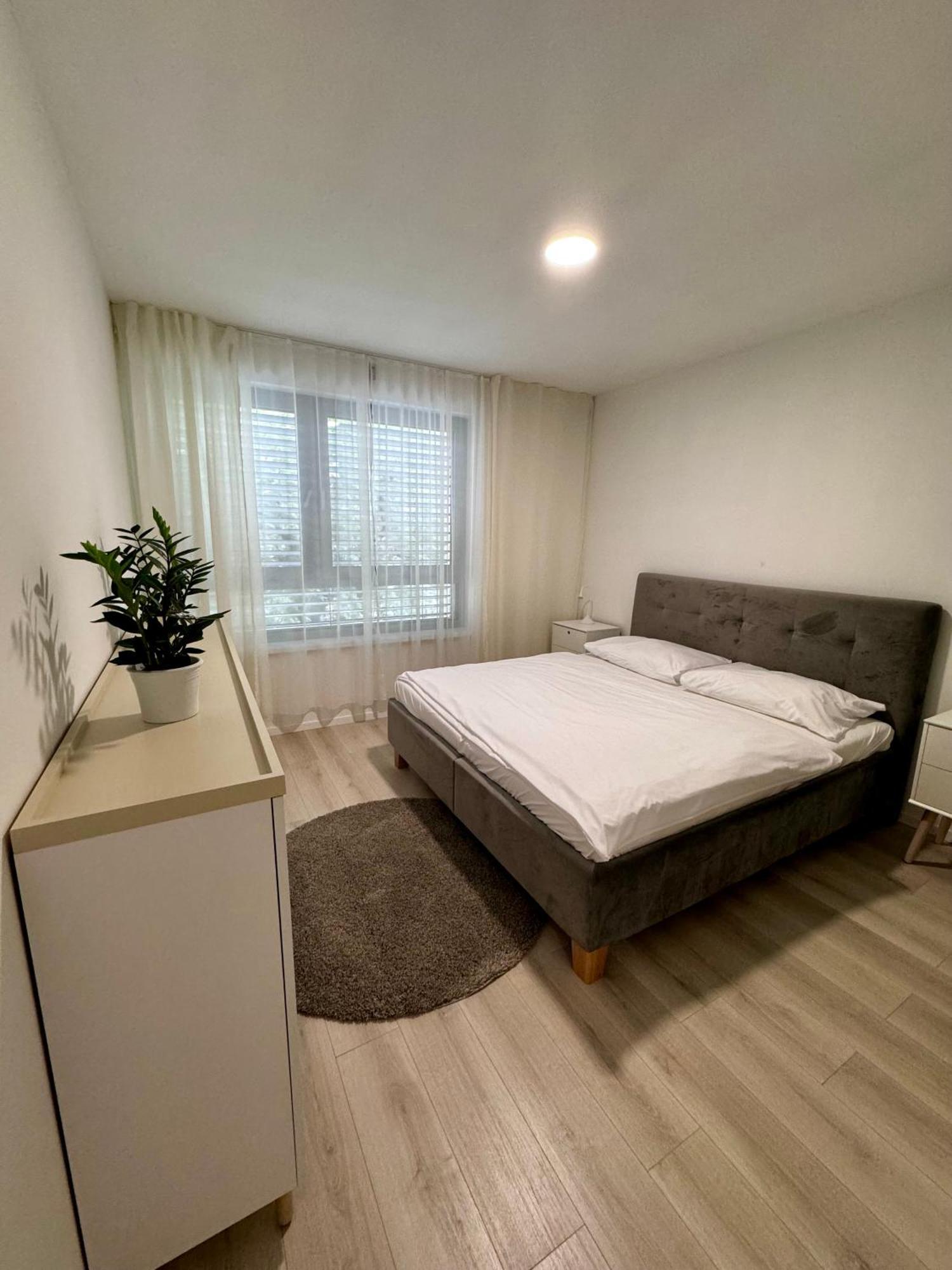 ברטיסלאבה Aurora Apartments מראה חיצוני תמונה